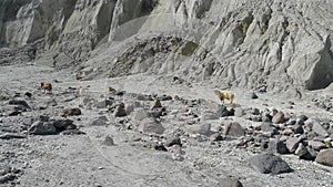 Mount Pinatubo