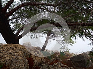 Mount Precipice in Nazareth in the Galilee region in  Israel photo