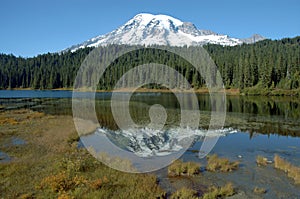 Mount Rainer, Washington