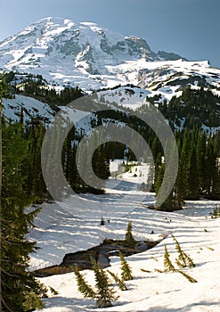 Mount Rainier 3