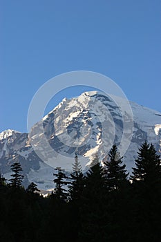 Mount Rainier