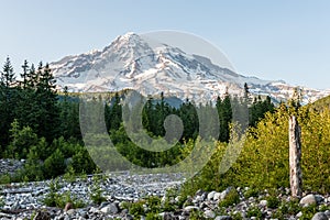 Mount Rainier around Sunset, as seen from Longmire.