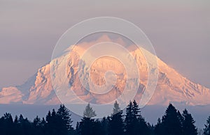 Mount Rainier As Seen From Olympia Washington