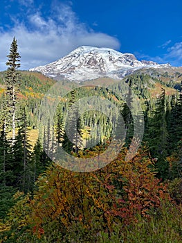 Mount Rainier on a beautiful sunny day with fall colors