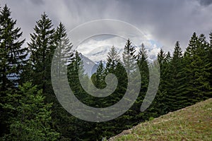 Mount Rainier in the cloud during Spring, view from Stevens Canyon Road at Mount Rainier National Park in Washington State