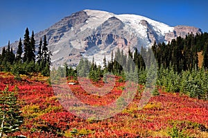 Mount Rainier fall colors photo