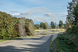 Mount Rainier From Grandview 3 photo