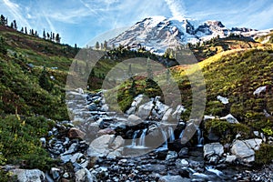 Mount Rainier landscape