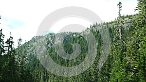 Mount Rainier landscape view