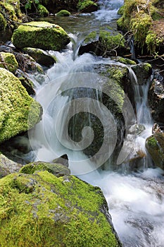 Mount Rainier National Park, Little Stream Cascading over Mossy Rocks at Silver Falls, Oregon, USA