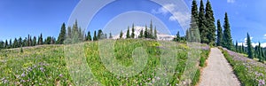 Mount Rainier National Park trail in summer season