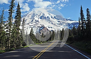 Mount Rainier National Park, Washington State, USA