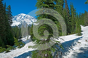 Mount Rainier from Nisqually Vista Trail, Mount Rainier National Park