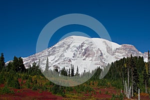 Mount Rainier Over Autumn Valley