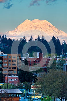 Mount Rainier Over City In Olympia Washington