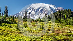 Mount Rainier from the Paradise viewpoint