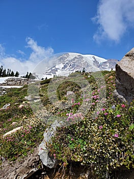 Mount Rainier peak