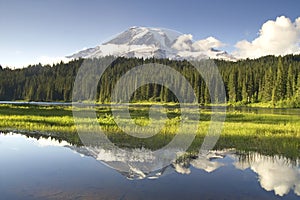 Mount Rainier Reflected Smooth Water Reflection La