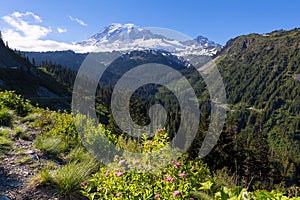 Mount Rainier from Scenic Viewpoint