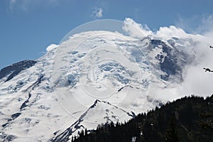 Mount Rainier from Sunrise entrance