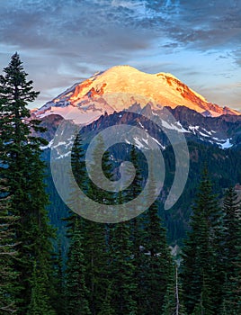 Mount Rainier at sunrise in Mount Rainier National Park, Washing