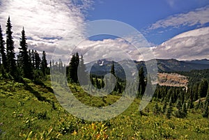 Mount Ranier National Park, Washington State