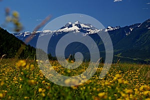 Mount Revelstoke