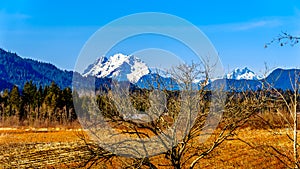 Mount Robie Reid on the left and  Mount Judge Howay on the right, viewed Sylvester Road near Mission, British Columbia, Canada