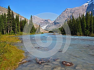 Mount Robson Provincial Park, Canadian Rocky Mountains, Glacial Robson River running through Meadows and Forest, British Columbia