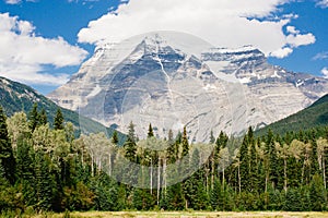 Mount Robson towering over evergreen forest photo