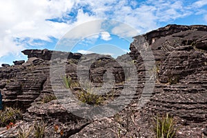 Mount Roraima Jacuzzi Venezuela