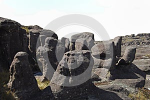 Mount Roraima - Venezuela