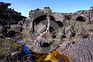 Mount Roraima - Venezuela