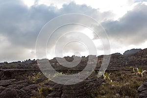 Mount Roraima photo