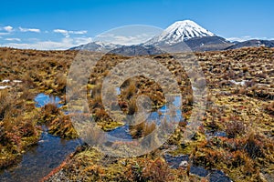 Mount Ruapehu Landscape Tongariro National Park, New Zealand