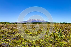 Mount Ruapehu, Manawatu-Wanganui, North Island, New Zealand, Oceania photo