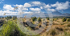 Mount Ruapehu in Summer