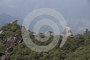 Mt. Sanqing, Sanqingshan, China, Rock mountain photo