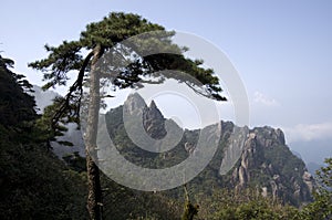 Mount Sanqing, Sanqingshan, Jiangxi China