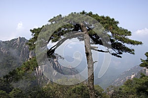 Mount Sanqing, Sanqingshan, Jiangxi China