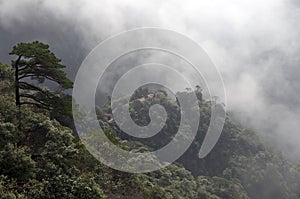 Mount Sanqing, Sanqingshan, Jiangxi China