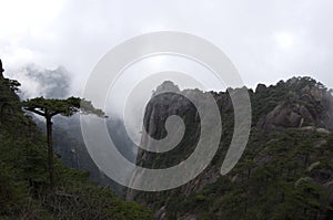 Mount Sanqing, Sanqingshan, Jiangxi China