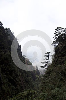 Mount Sanqing, Sanqingshan, Jiangxi China