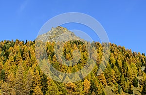 Mount Sarezza (Ayas Valley, North Italy) photo