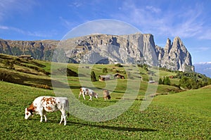Mount Sciliar,Dolomites,South Tyrol
