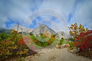 Mount Shaan-kaya, the city of Alupka, Crimea. A very beautiful autumn landscape: forest, mountains, clouds. For cards