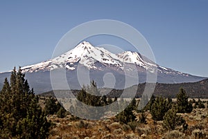 Mount Shasta