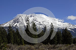 Mount Shasta