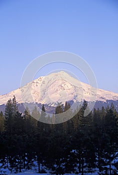 Mount Shasta at Sunrise