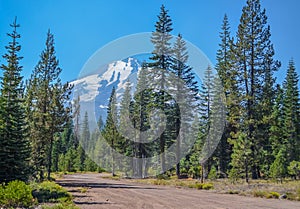 Mount Shasta